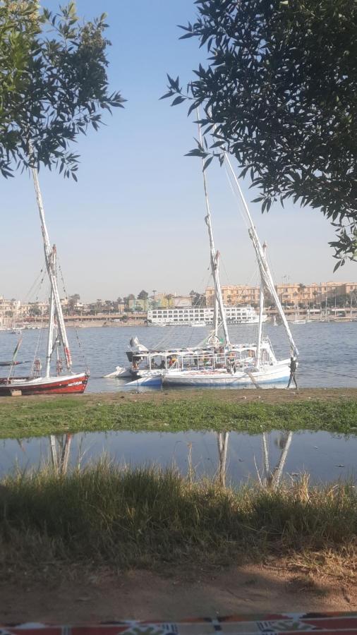 Villa Victoria Old Nile View Luxor Exterior photo